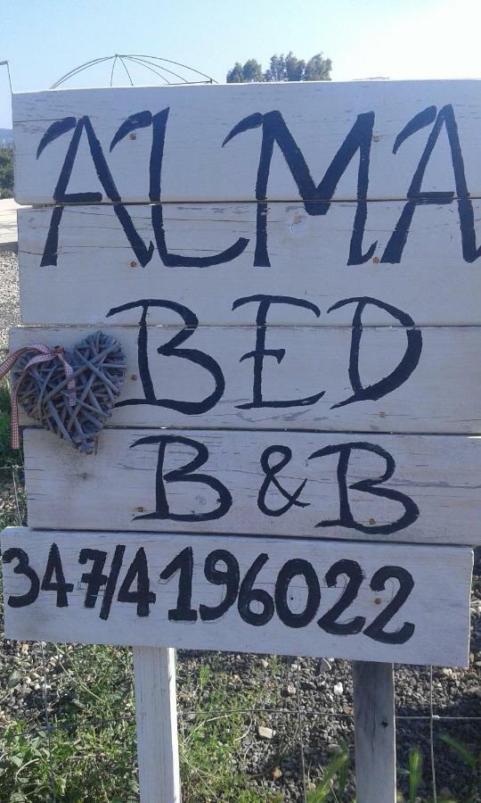 Alma Bed & Breakfast 塞纳里奥罗 外观 照片